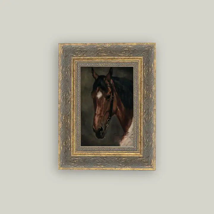 Framed Horse Portrait