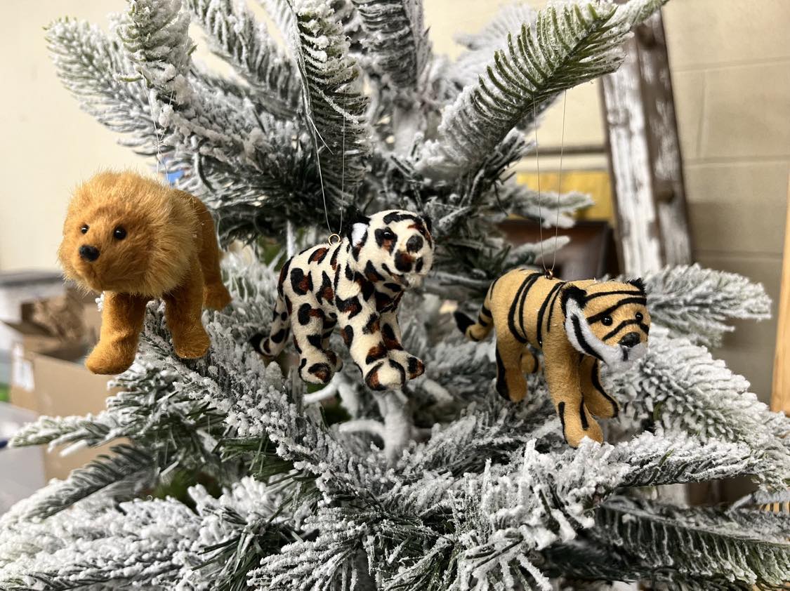 Wild Cat Ornaments