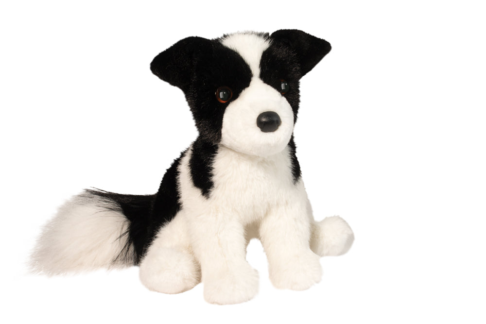 Herdie Boarder Collie