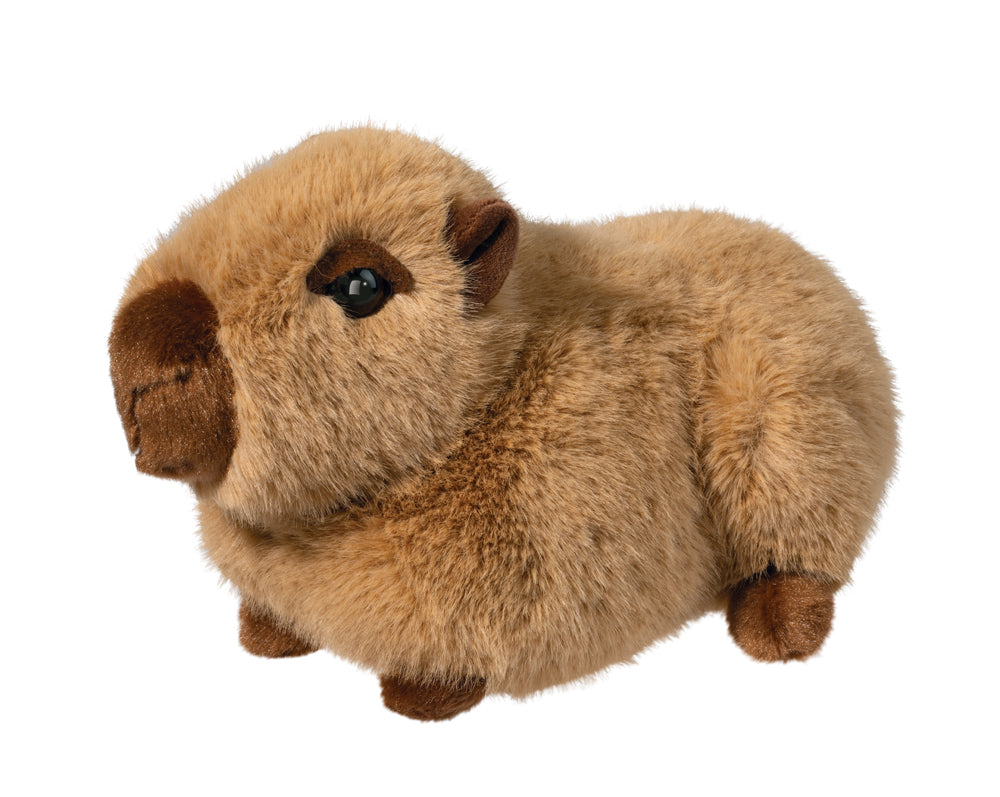 Chattie Capybara
