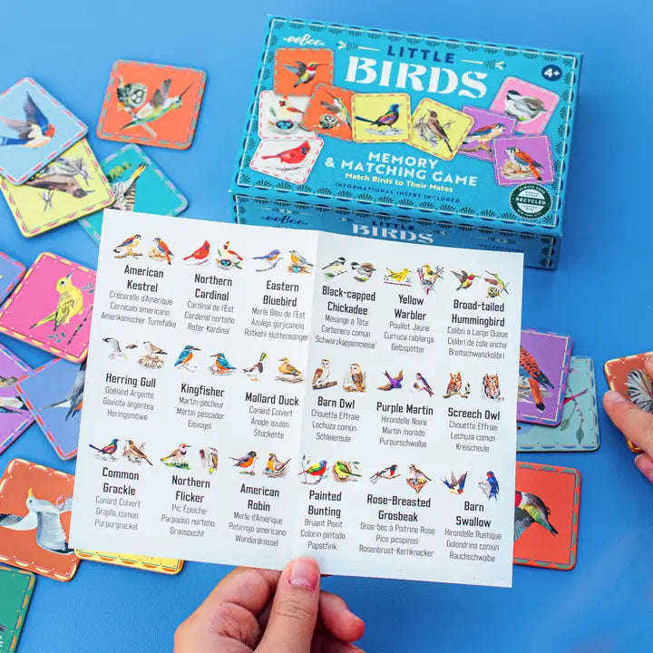 Birds Little Memory and Matching Game