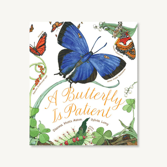 A Butterfly Is Patient Book