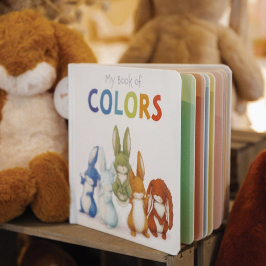 My Book of Colors Bunny Book