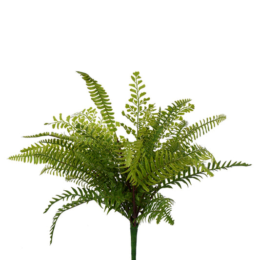 Mix Maiden Hair Bush