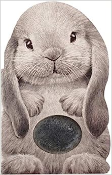 Furry Bunny Book